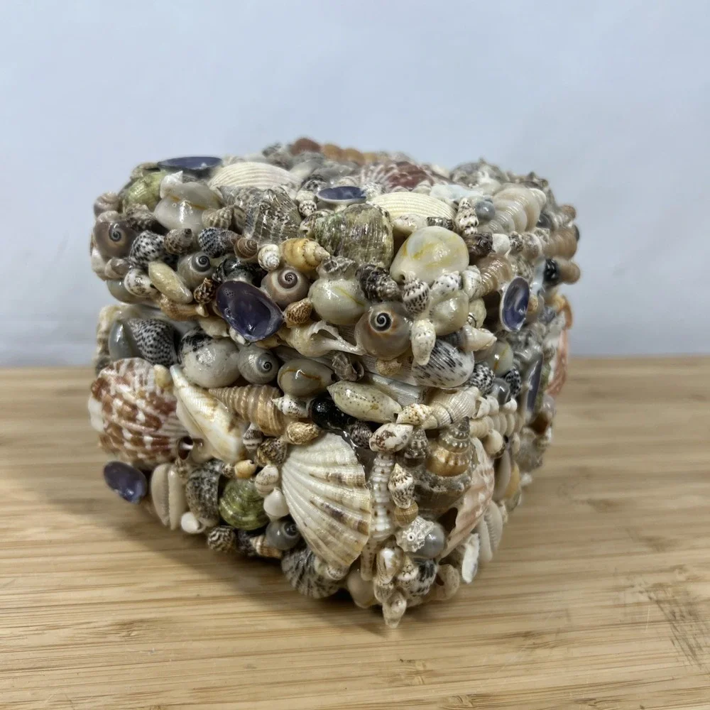 Coastal Collection Seashell Jewelry Trinket Box Beach Coastal Decor New w/ Tag